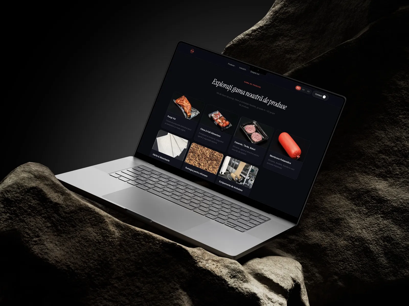VertragPlus — Site de prezentare, 1